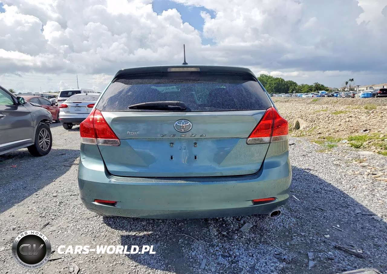 2009 Toyota Venza VIN:4T3ZE11A89U012430 - 6