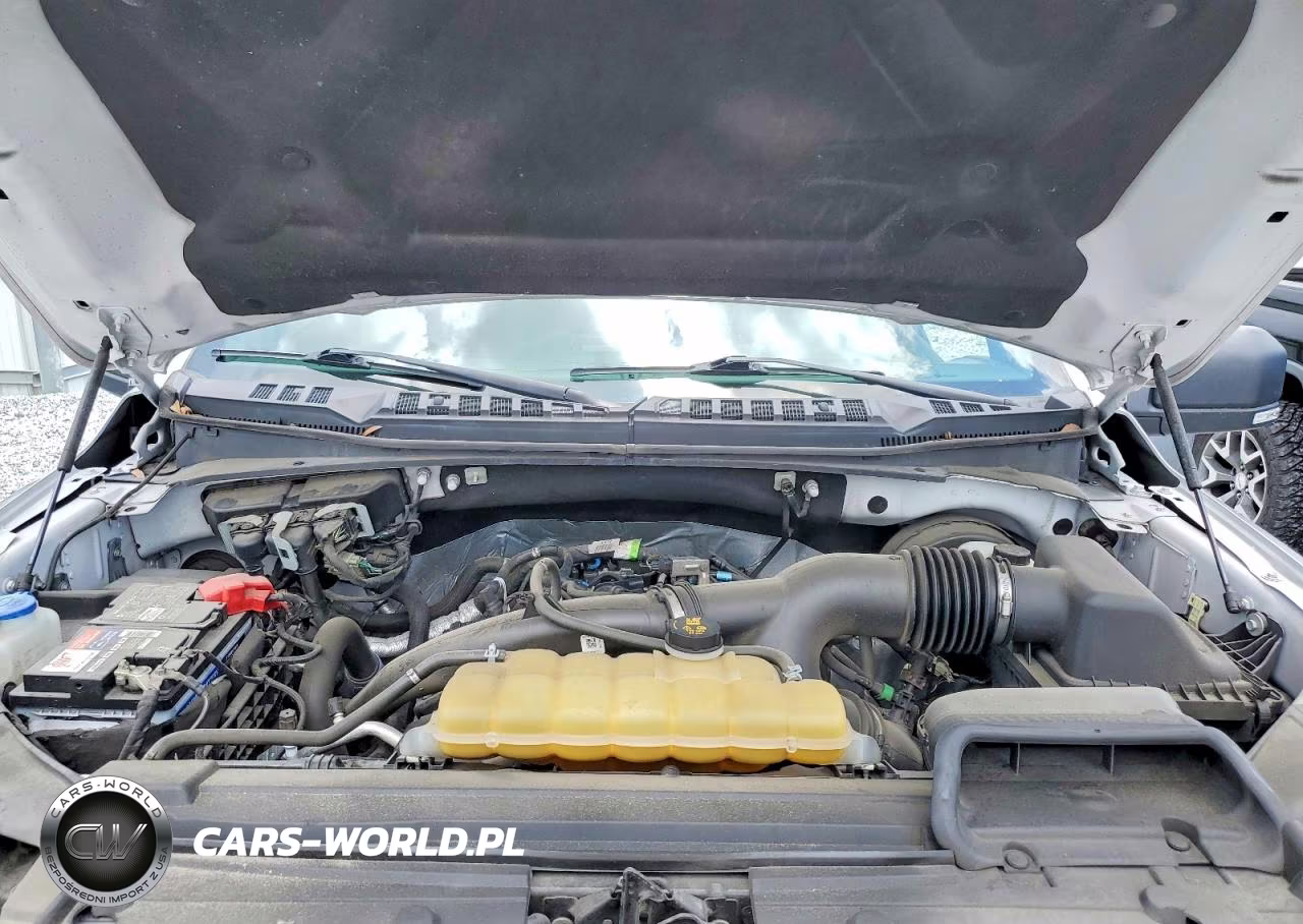 2019 Ford F150 Supercrew VIN:1FTEW1CP1KFB58995 - 11
