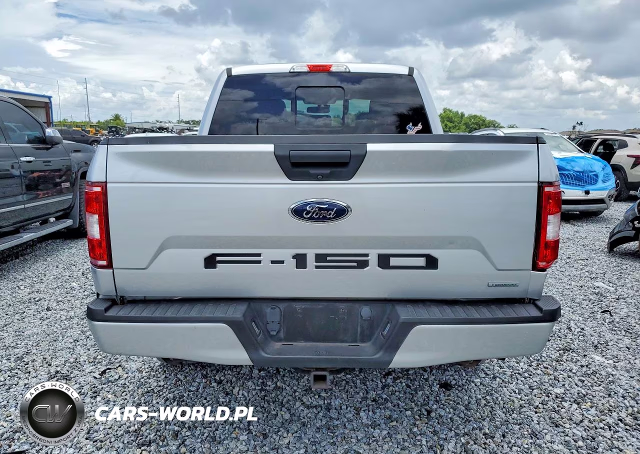 2019 Ford F150 Supercrew VIN:1FTEW1CP1KFB58995 - 6