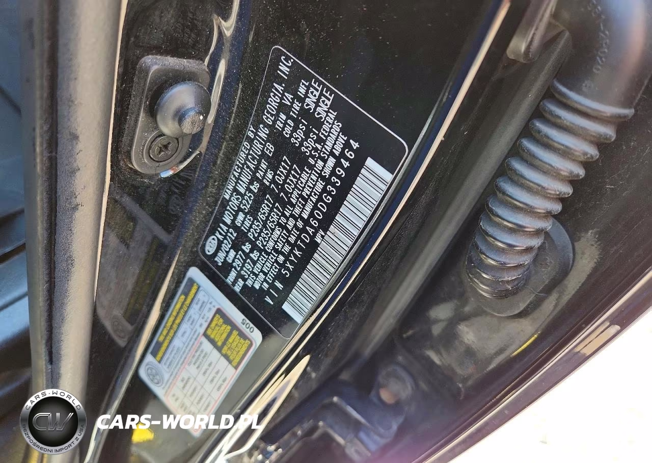 2013 Kia Sorento Lx VIN:5XYKTDA60DG339464 - 13