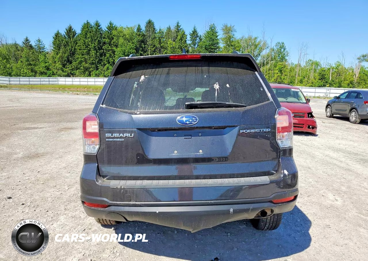 2018 Subaru Forester 2.5I Premium VIN:JF2SJAEC0JH580207 - 6