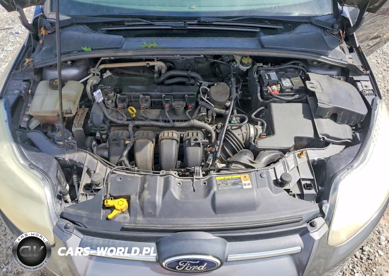 2014 Ford Focus Se VIN:1FADP3F29EL236200 - 11