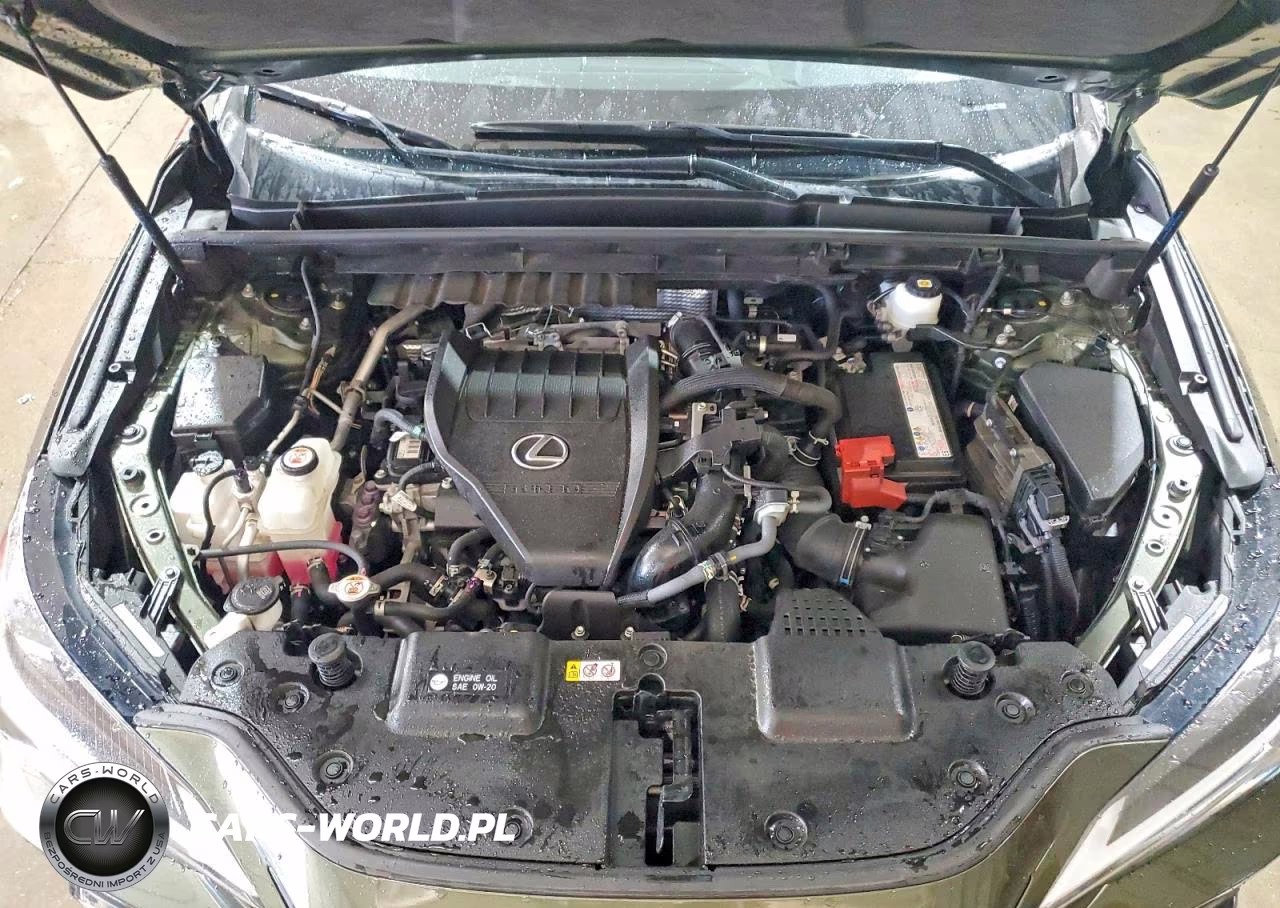 2022 Lexus Nx 350 VIN:JTJGGCEZ7N2003778 - 12