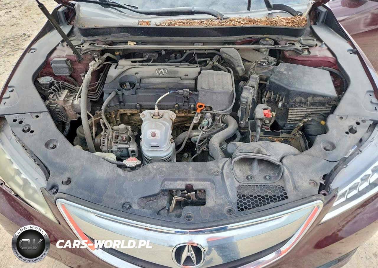 2015 Acura Tlx Tech VIN:19UUB1F50FA024582 - 11