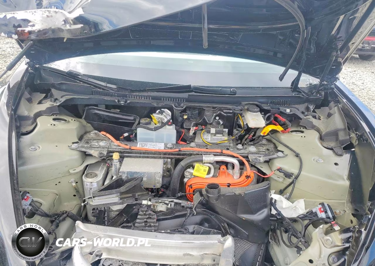 2024 Tesla Model 3 VIN:5YJ3E1EB2RF822019 - 11