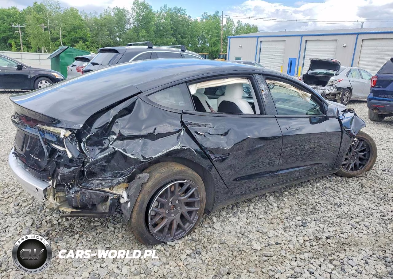 2024 Tesla Model 3 VIN:5YJ3E1EB2RF822019 - 3