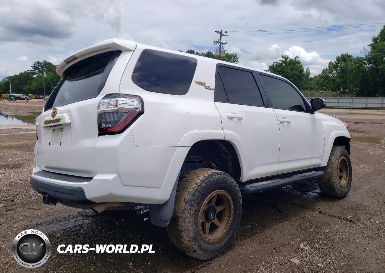 2019 Toyota 4Runner Trd Off-Road Premium VIN:JTEBU5JR0K5643604 - 3