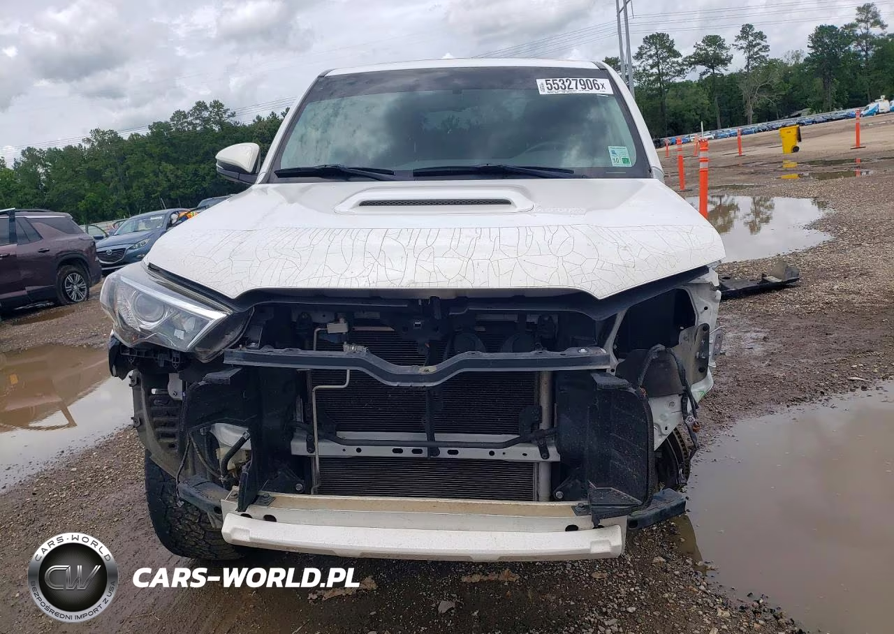 2019 Toyota 4Runner Trd Off-Road Premium VIN:JTEBU5JR0K5643604 - 5