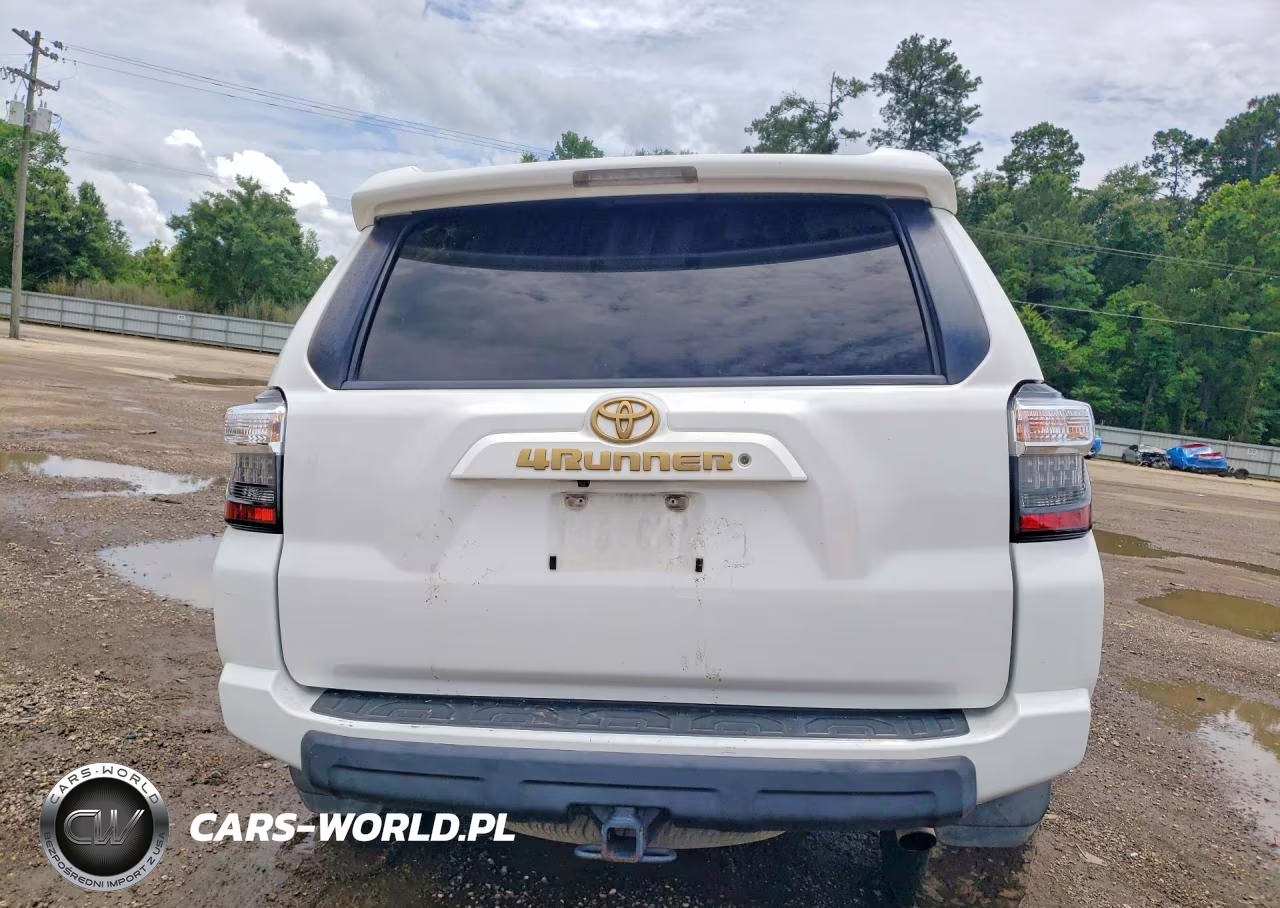 2019 Toyota 4Runner Trd Off-Road Premium VIN:JTEBU5JR0K5643604 - 6