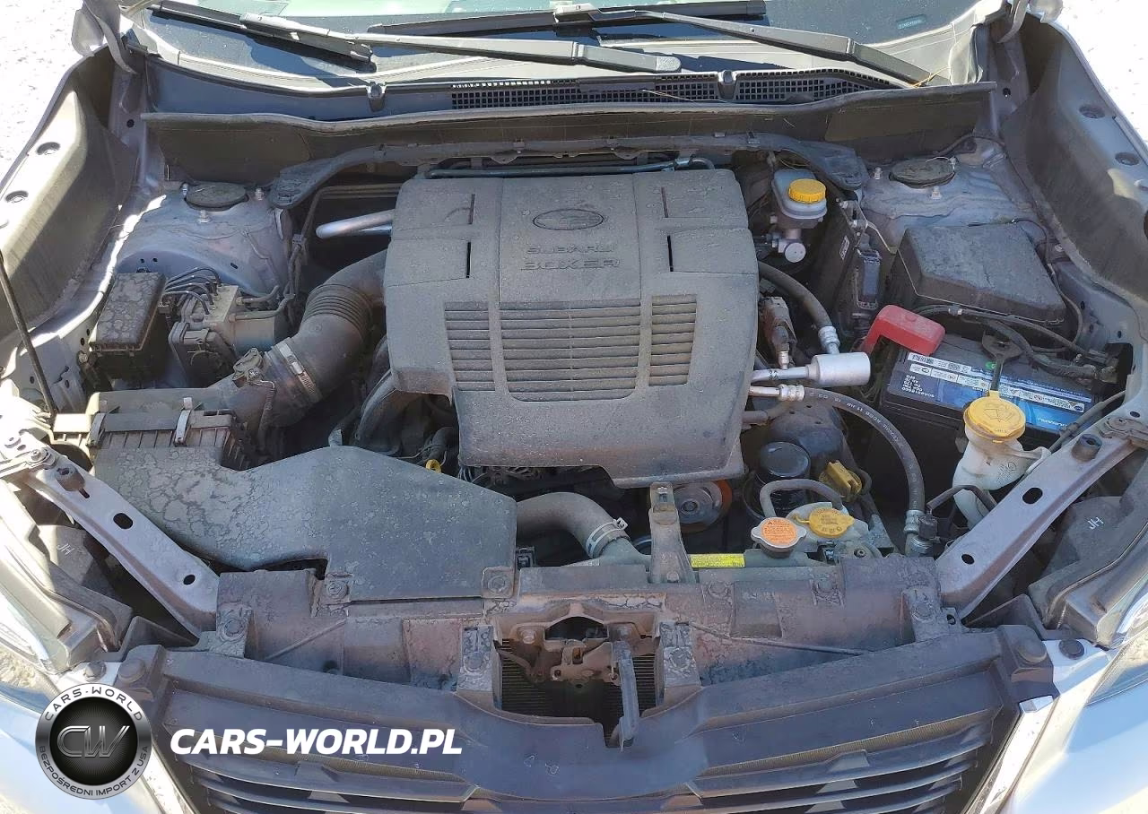 2019 Subaru Forester Limited VIN:JF2SKAUC7KH548385 - 11