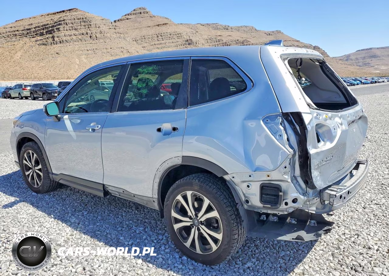 2019 Subaru Forester Limited VIN:JF2SKAUC7KH548385 - 2