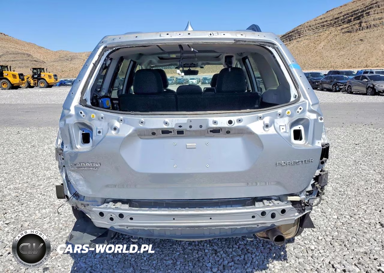 2019 Subaru Forester Limited VIN:JF2SKAUC7KH548385 - 6