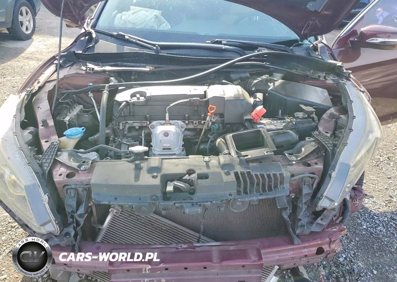2013 Honda Accord Ex VIN:1HGCR2F76DA039356 - 11