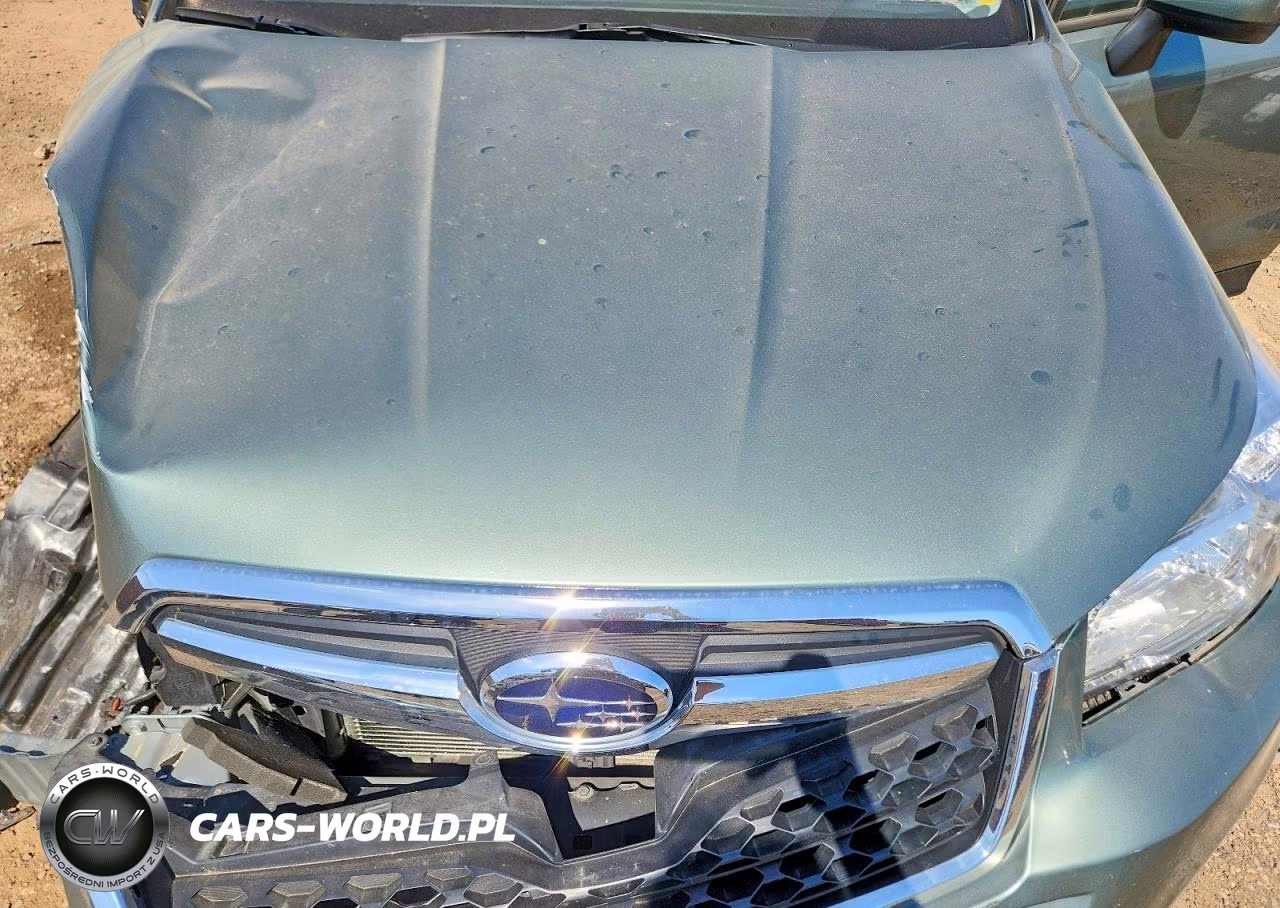 2015 Subaru Forester 2.5I Premium VIN:JF2SJADC5FH451761 - 11