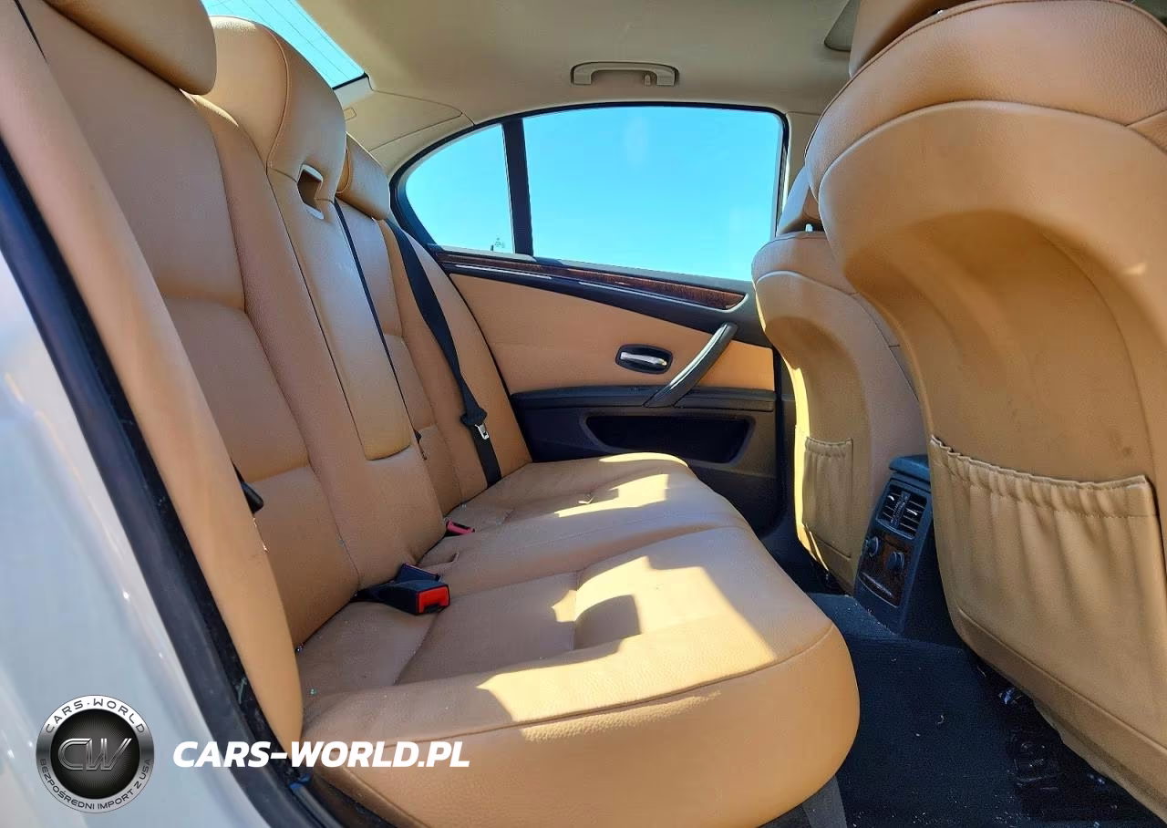 2010 BMW 528 Xi VIN:WBANV1C51AC445915 - 10
