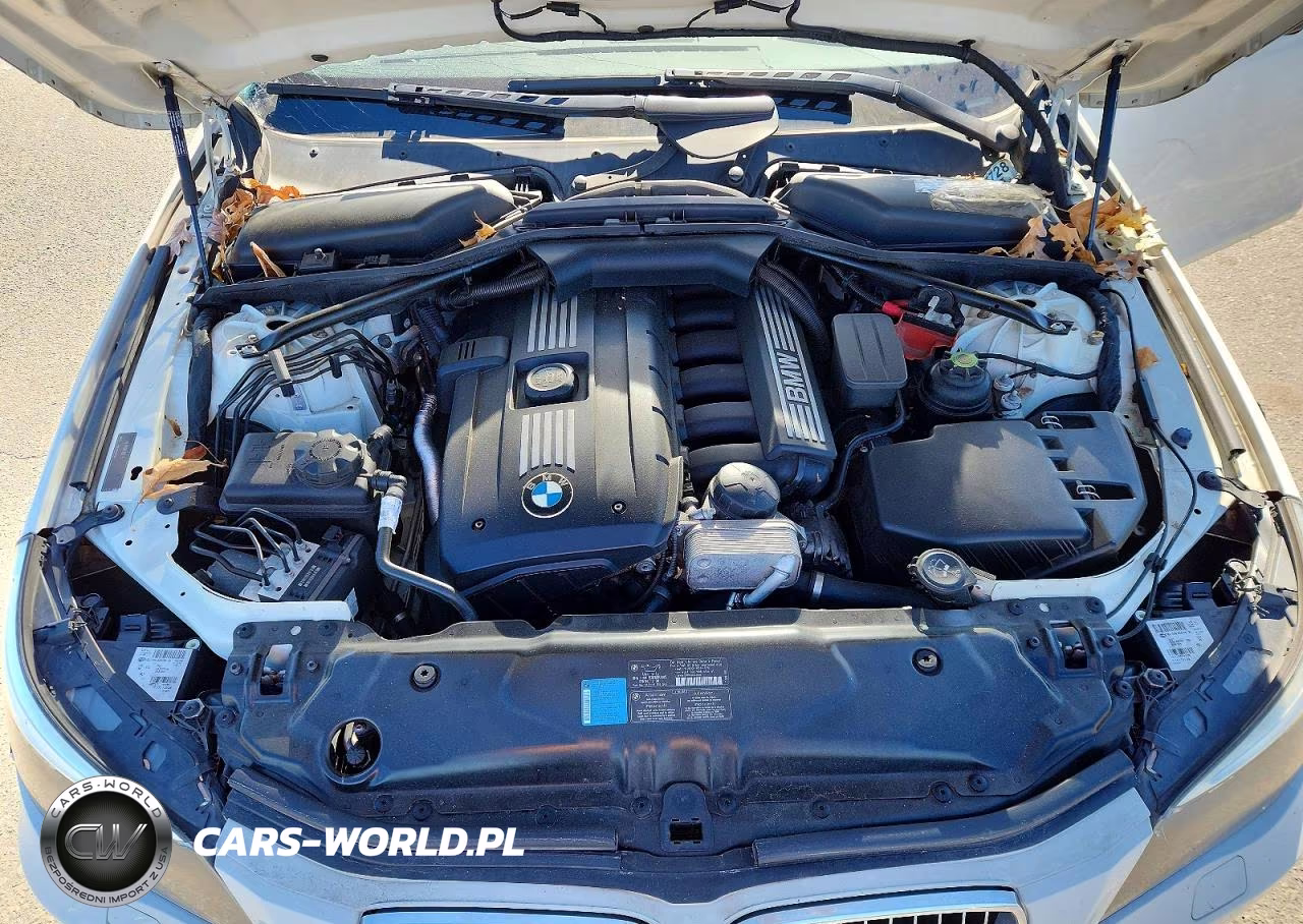 2010 BMW 528 Xi VIN:WBANV1C51AC445915 - 11