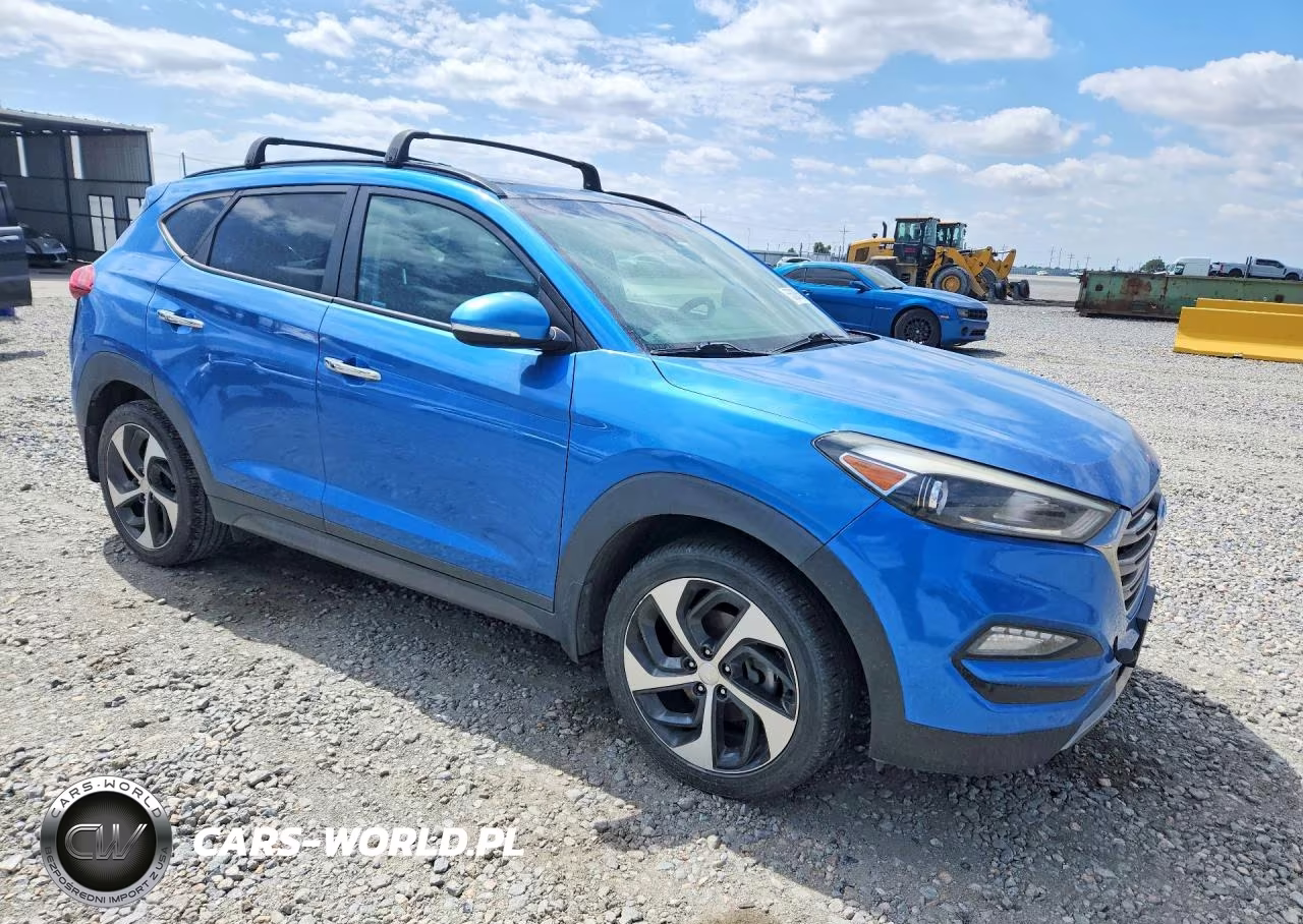 2016 Hyundai Tucson Limited VIN:KM8J3CA25GU209228 - 4