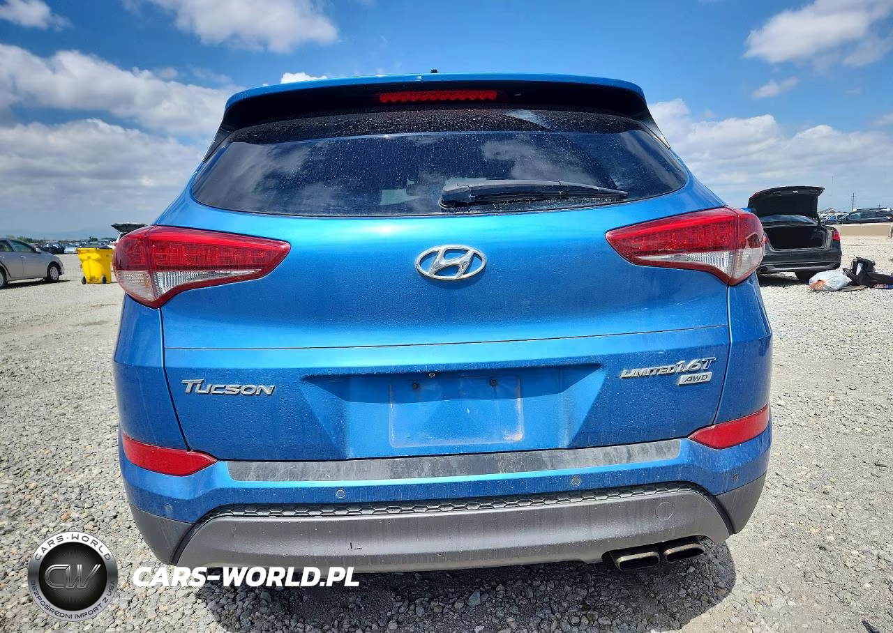 2016 Hyundai Tucson Limited VIN:KM8J3CA25GU209228 - 6