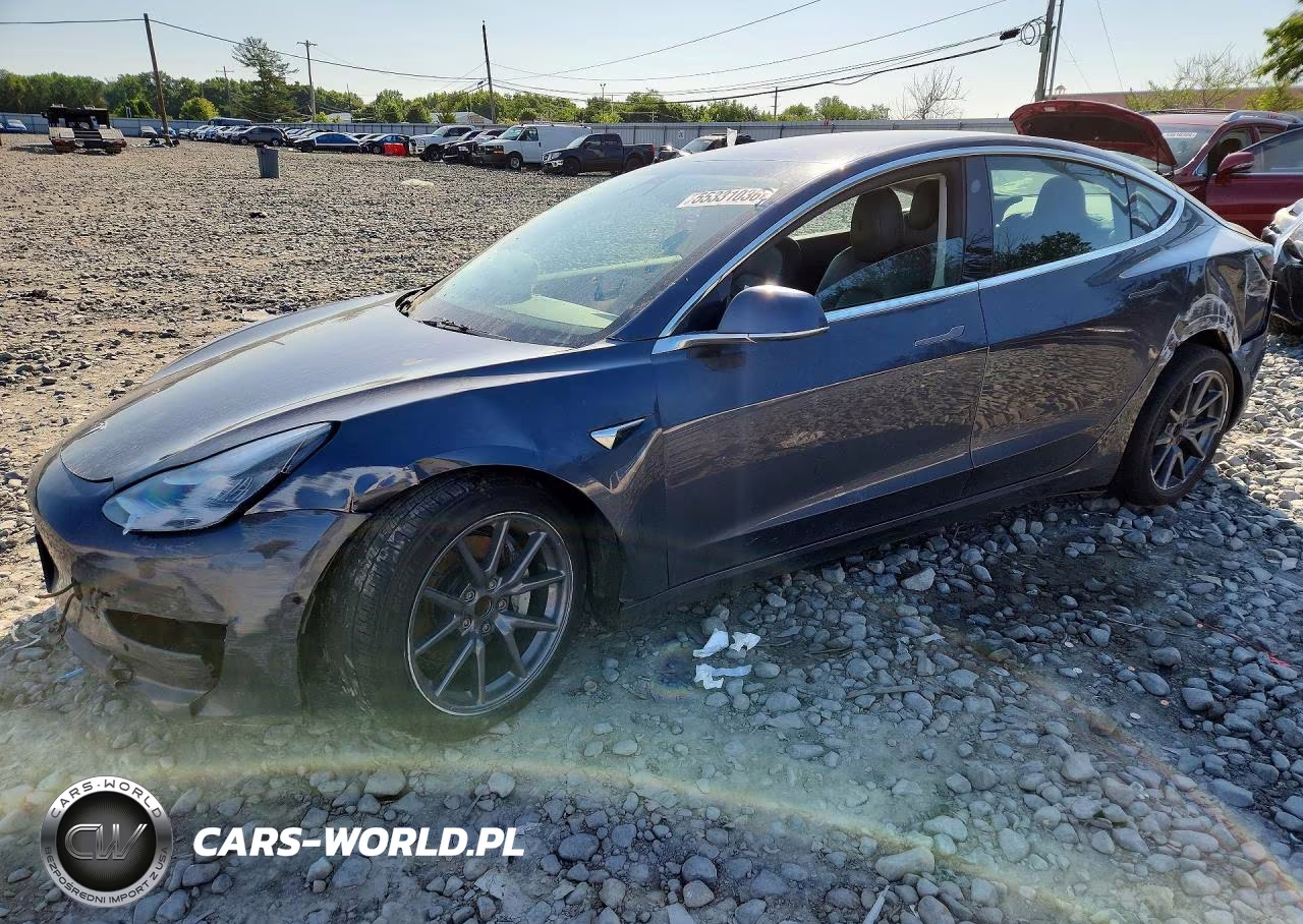 2019 Tesla Model 3