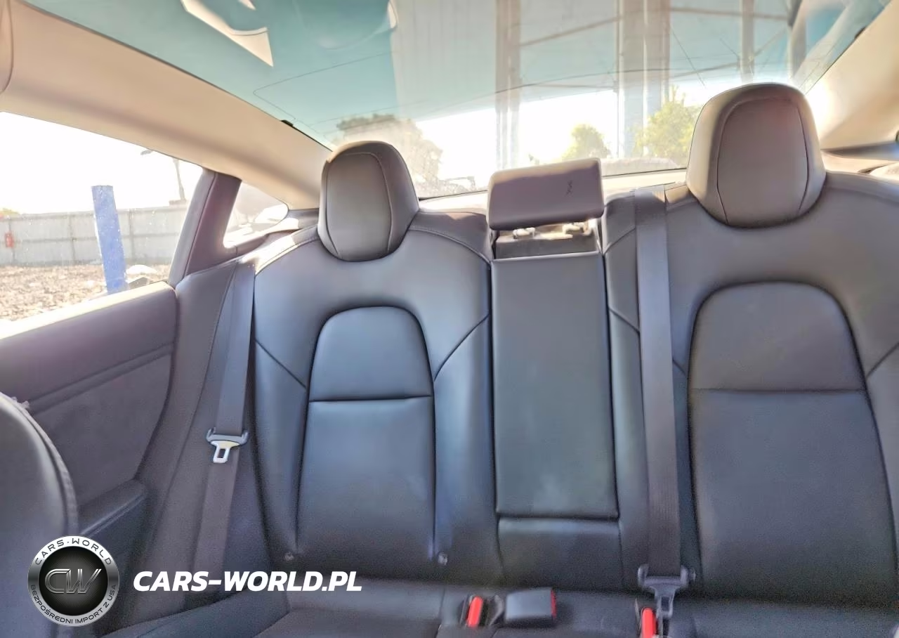 2019 Tesla Model 3 VIN:5YJ3E1EA0KF411215 - 10