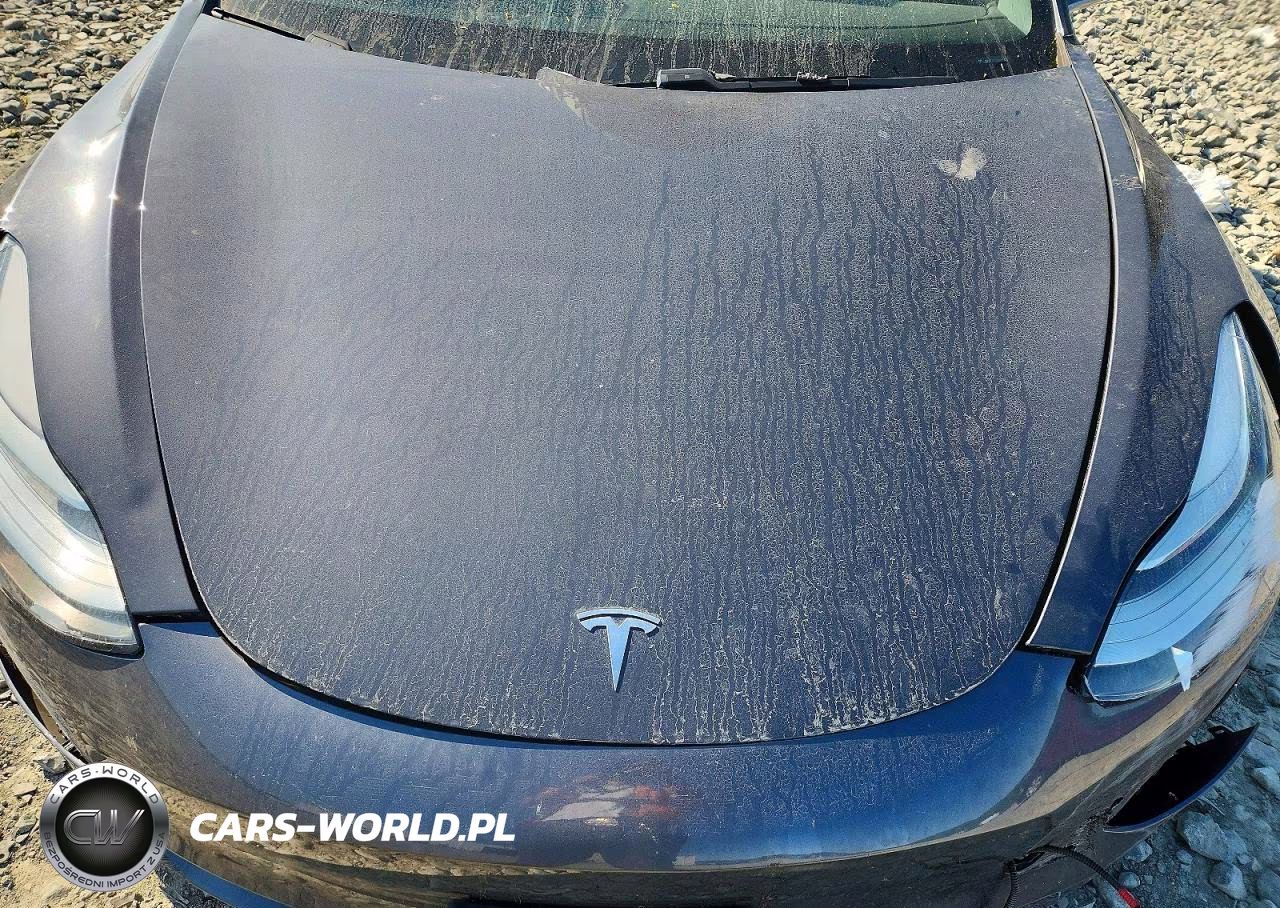 2019 Tesla Model 3 VIN:5YJ3E1EA0KF411215 - 11