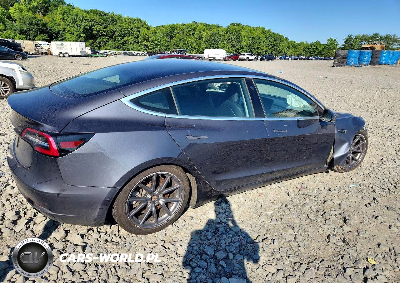 2019 Tesla Model 3 VIN:5YJ3E1EA0KF411215 - 3