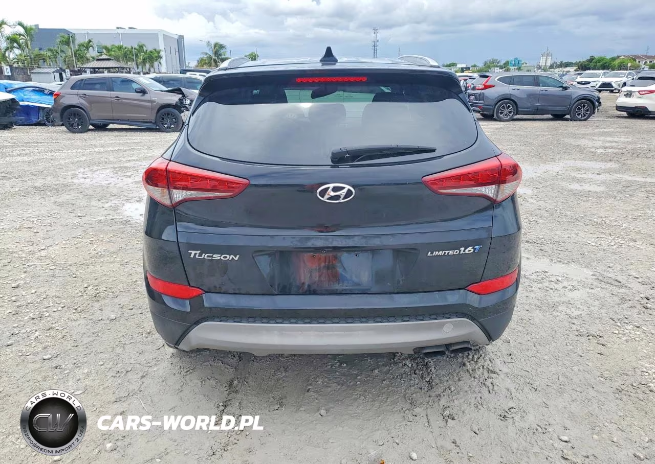 2017 Hyundai Tucson Limited VIN:KM8J33A24HU386676 - 6