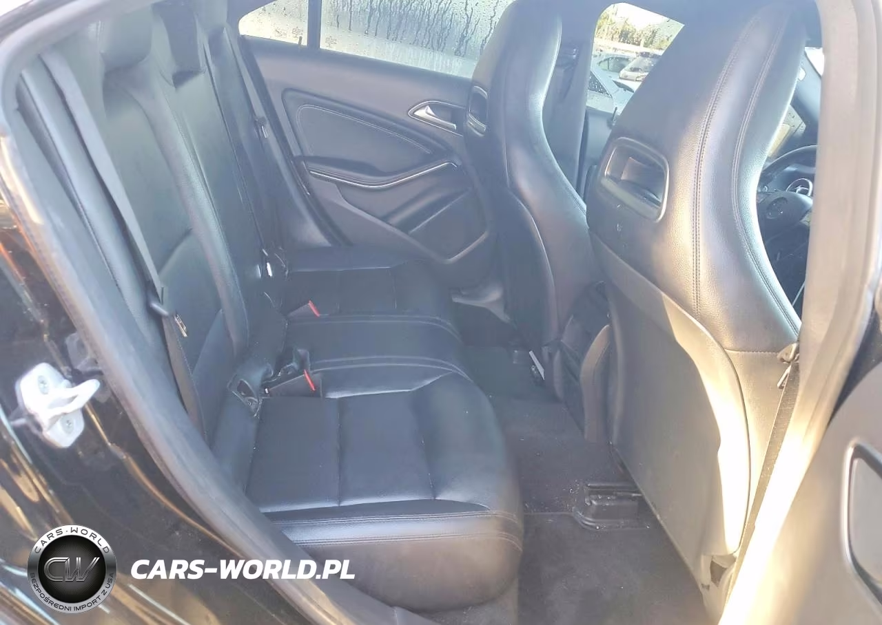 2014 Mercedes-Benz Cla 250 VIN:WDDSJ4EB6EN121610 - 10