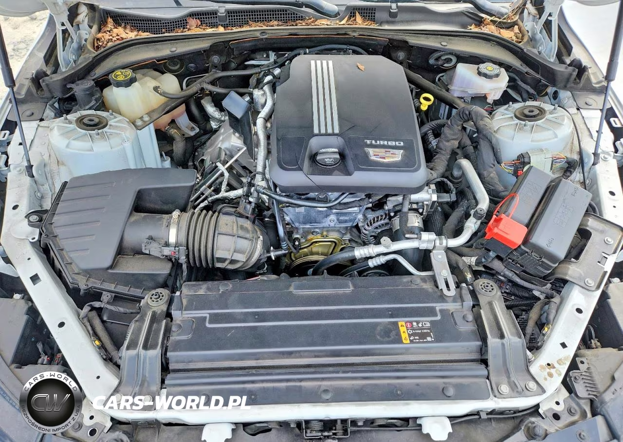 2022 Cadillac Ct4 Premium Luxury VIN:1G6DB5RK2N0125928 - 11