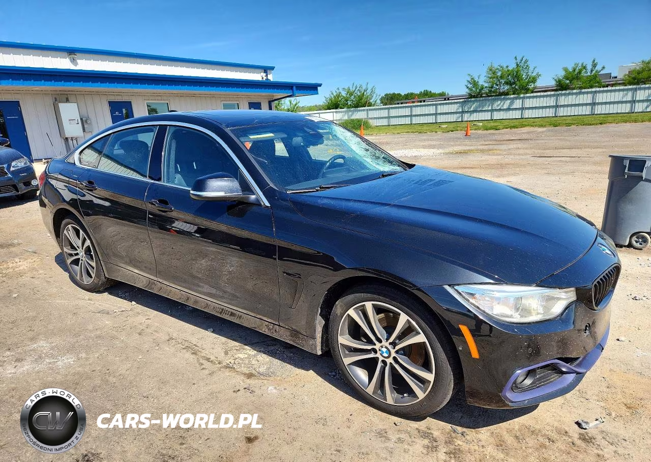 2017 BMW 430Xi Gran Coupe VIN:WBA4F9C5XHG439847 - 4