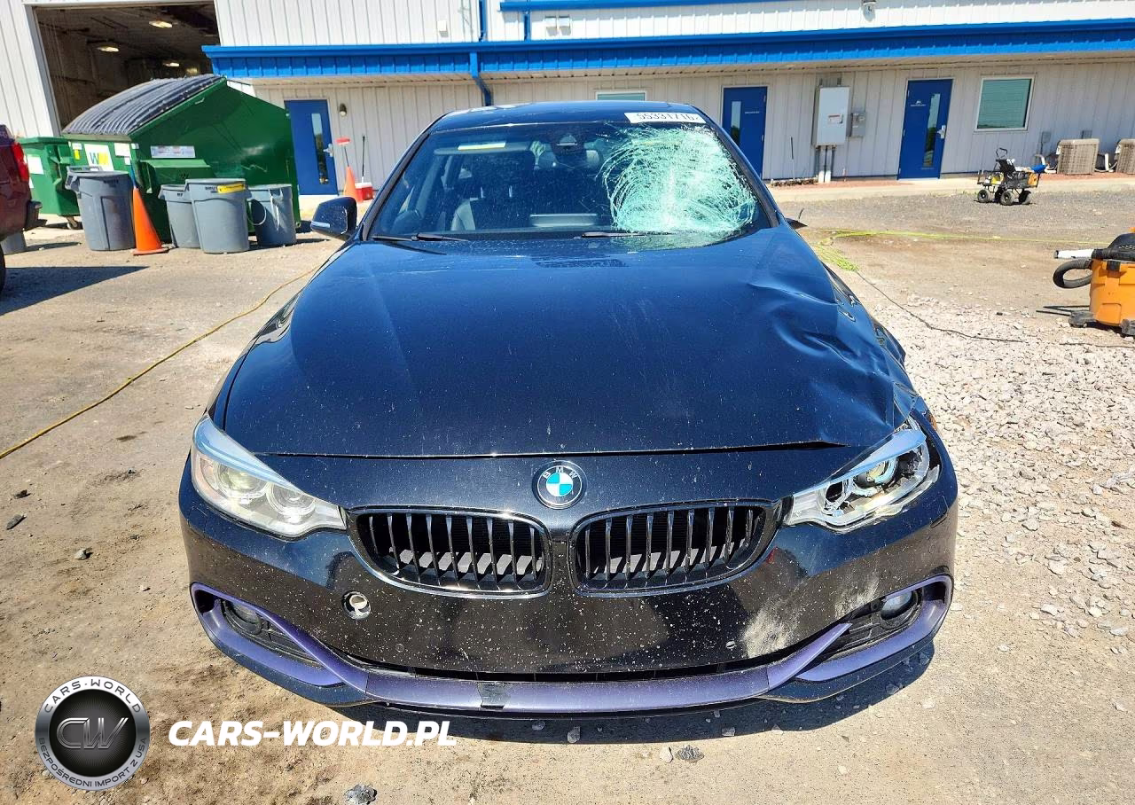 2017 BMW 430Xi Gran Coupe VIN:WBA4F9C5XHG439847 - 5
