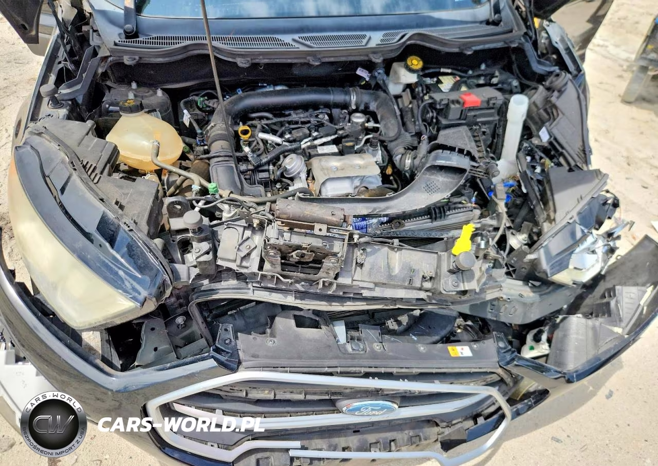 2018 Ford Ecosport Se VIN:MAJ3P1TE6JC229911 - 12