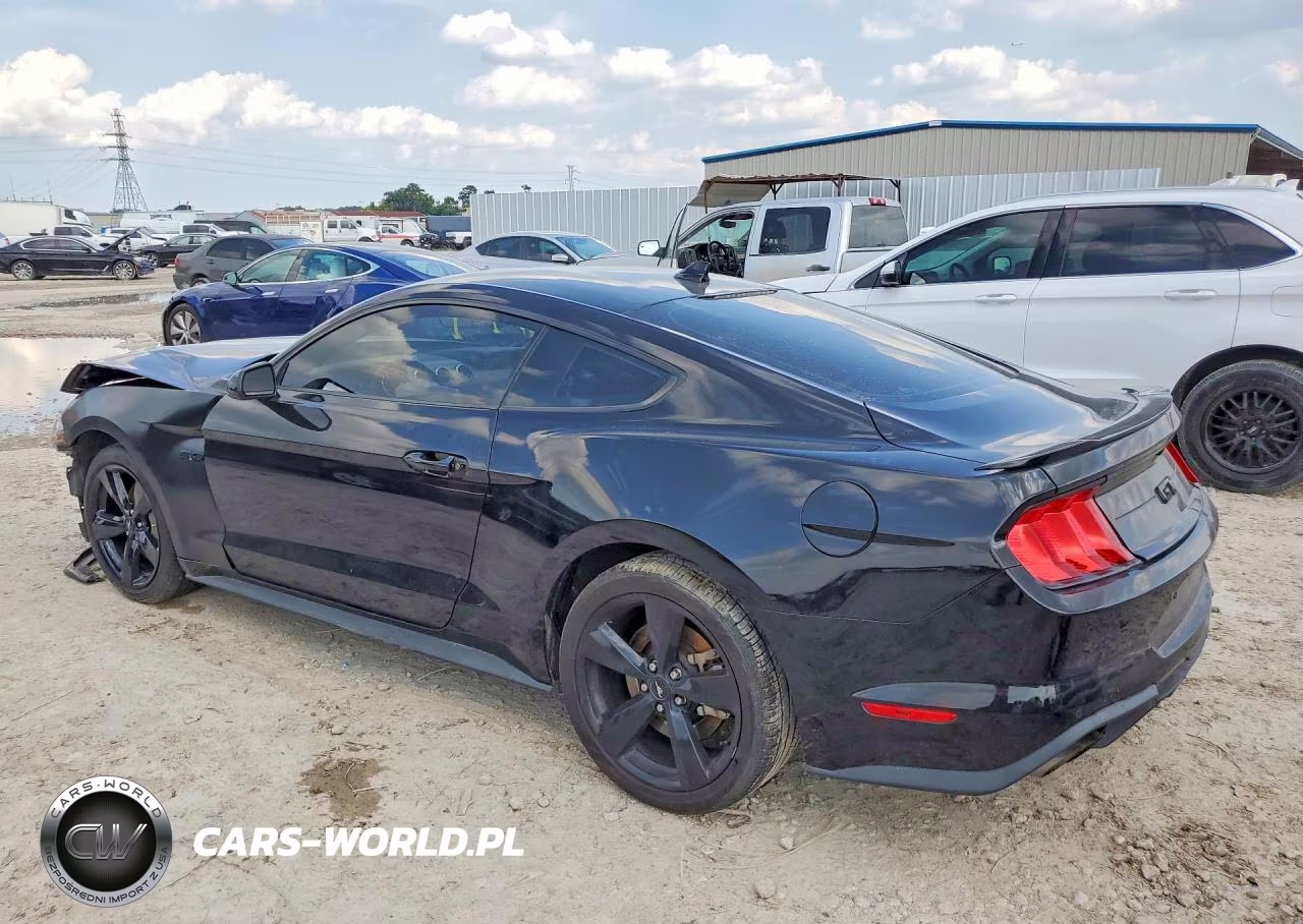 2021 Ford Mustang Gt VIN:1FA6P8CF5M5135302 - 2