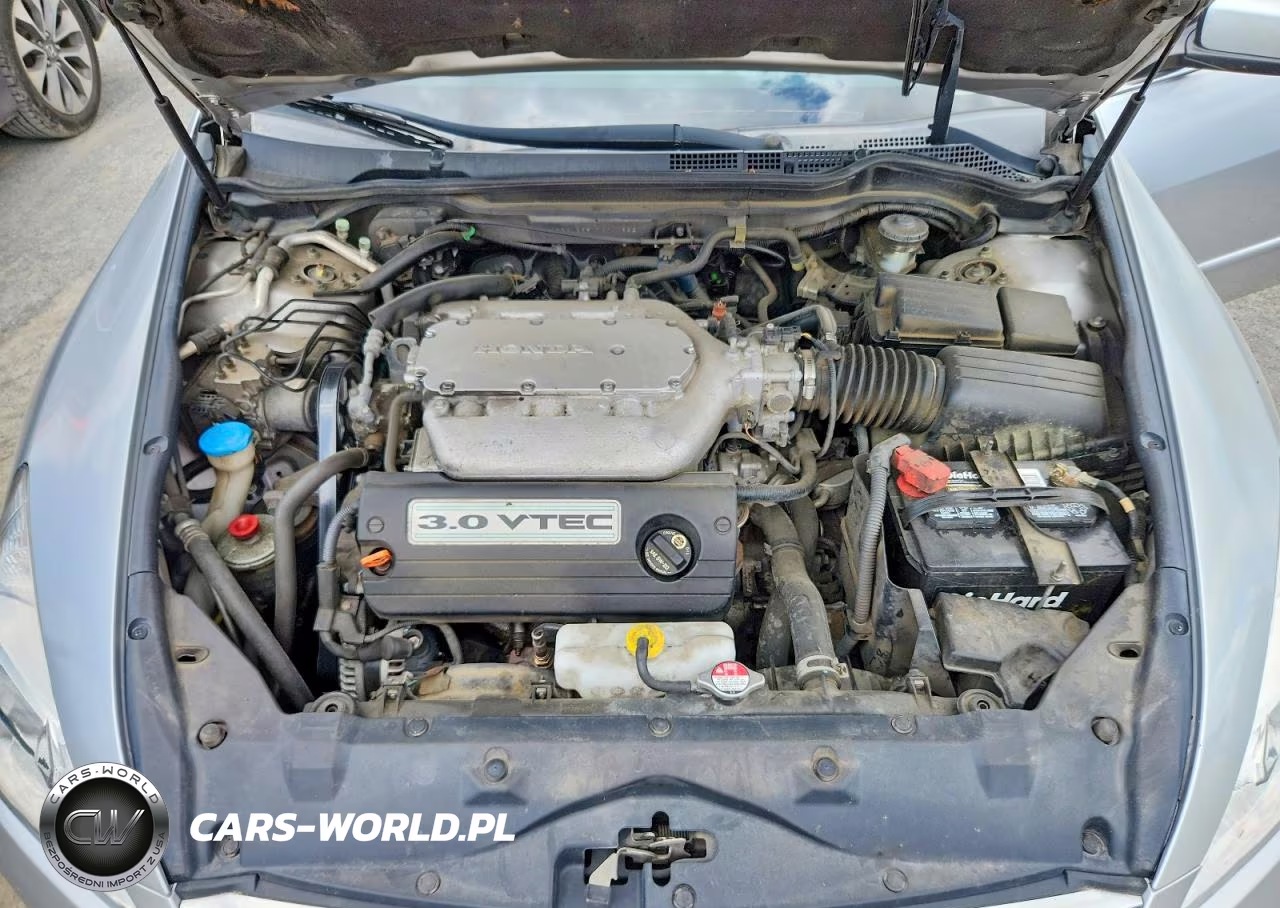 2007 Honda Accord Ex VIN:1HGCM66517A040682 - 11