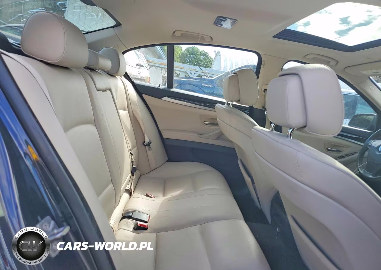 2012 BMW 528 Xi VIN:WBAXH5C54CDW09484 - 10