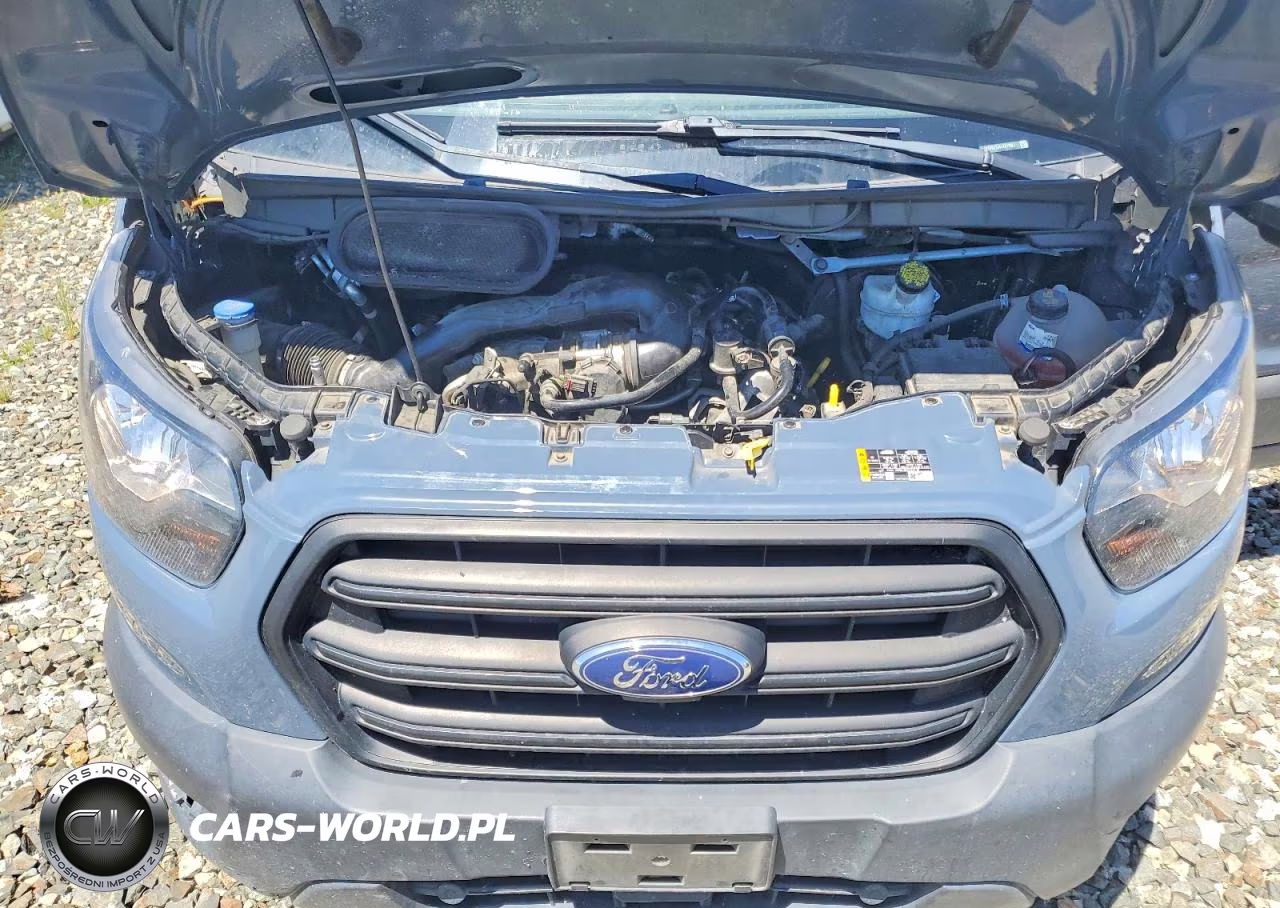 2020 Ford Transit 250 Delivery Van VIN:1FTBR3X84LKB13521 - 11