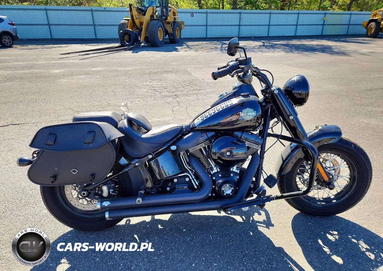 2017 Harley-Davidson Flss