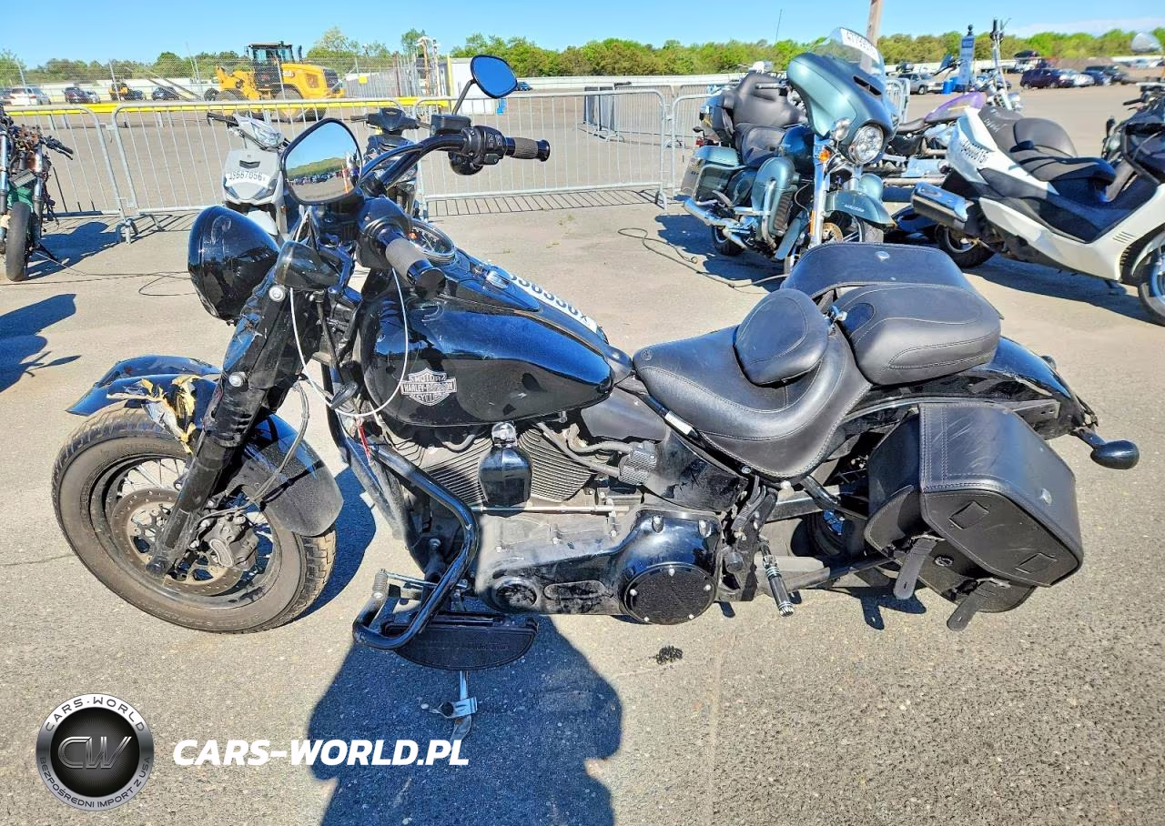 2017 Harley-Davidson Flss VIN:1HD1JS916HB026576 - 3