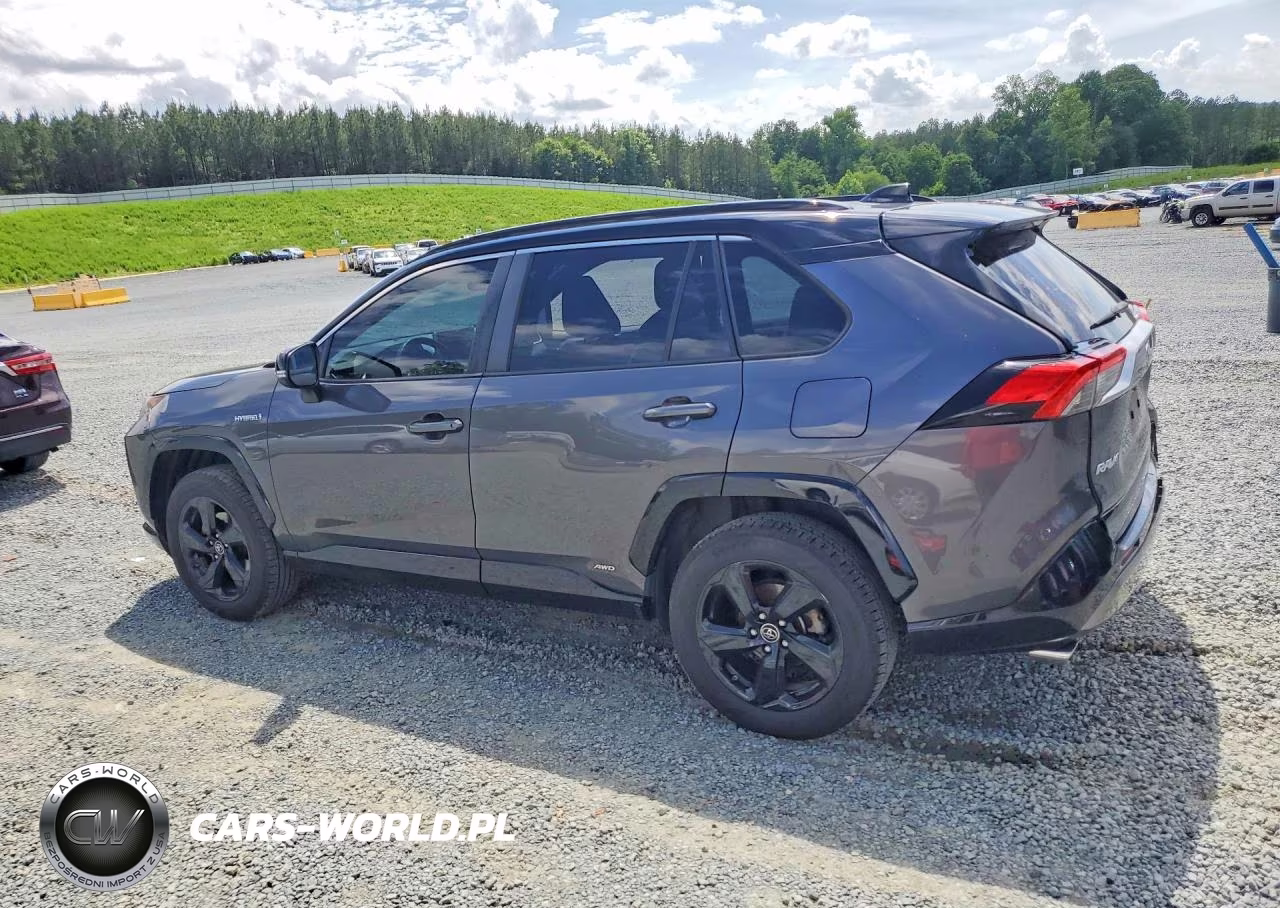 2019 Toyota Rav4 Xse VIN:JTMEWRFVXKJ005750 - 2