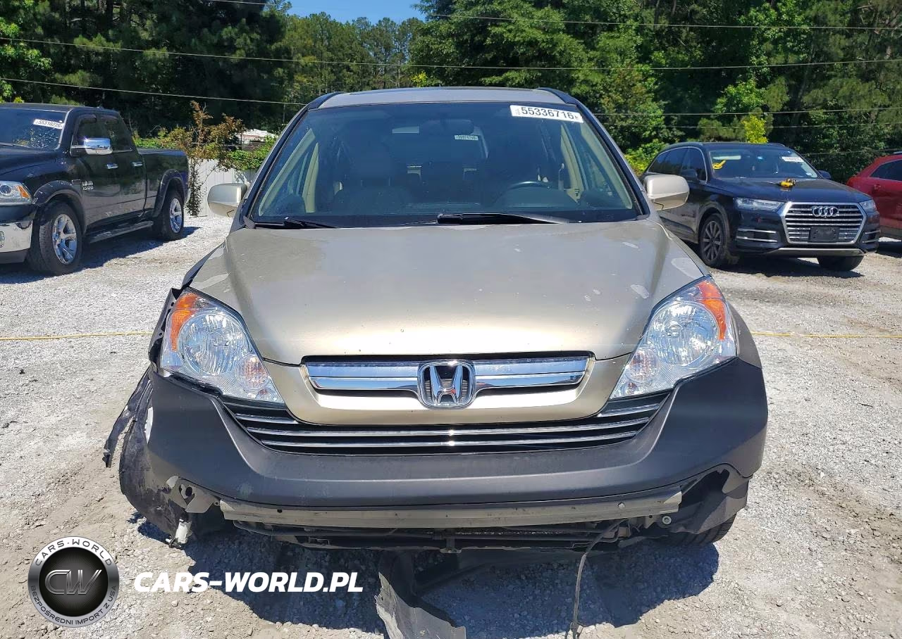 2008 Honda Cr-V Exl VIN:JHLRE387X8C039137 - 5