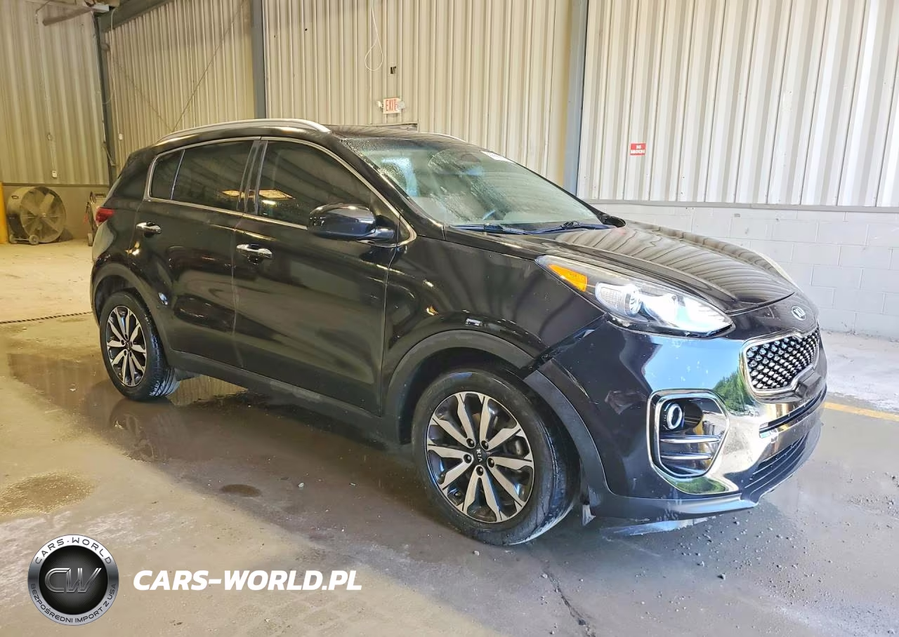 2017 Kia Sportage Ex VIN:KNDPN3AC2H7090801 - 4