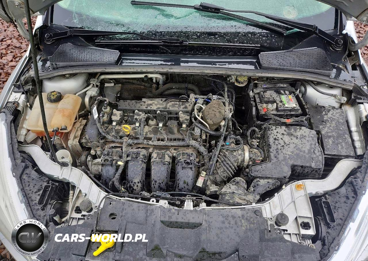2015 Ford Focus Se VIN:1FADP3K20FL255502 - 11