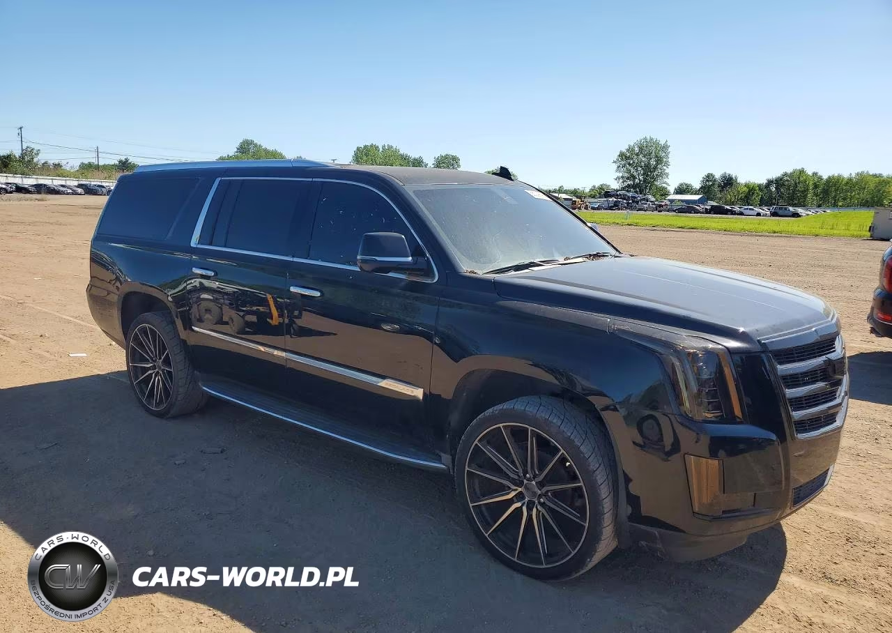 2016 Cadillac Escalade Esv VIN:1GYS3GKJ5GR324284 - 4