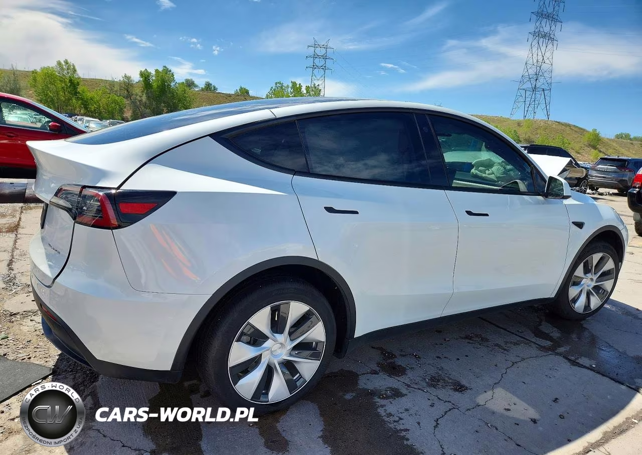 2023 Tesla Model Y VIN:7SAYGDEE2PF788692 - 3