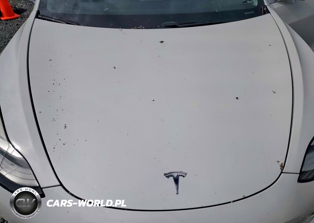 2020 Tesla Model 3 VIN:5YJ3E1EAXLF709112 - 11