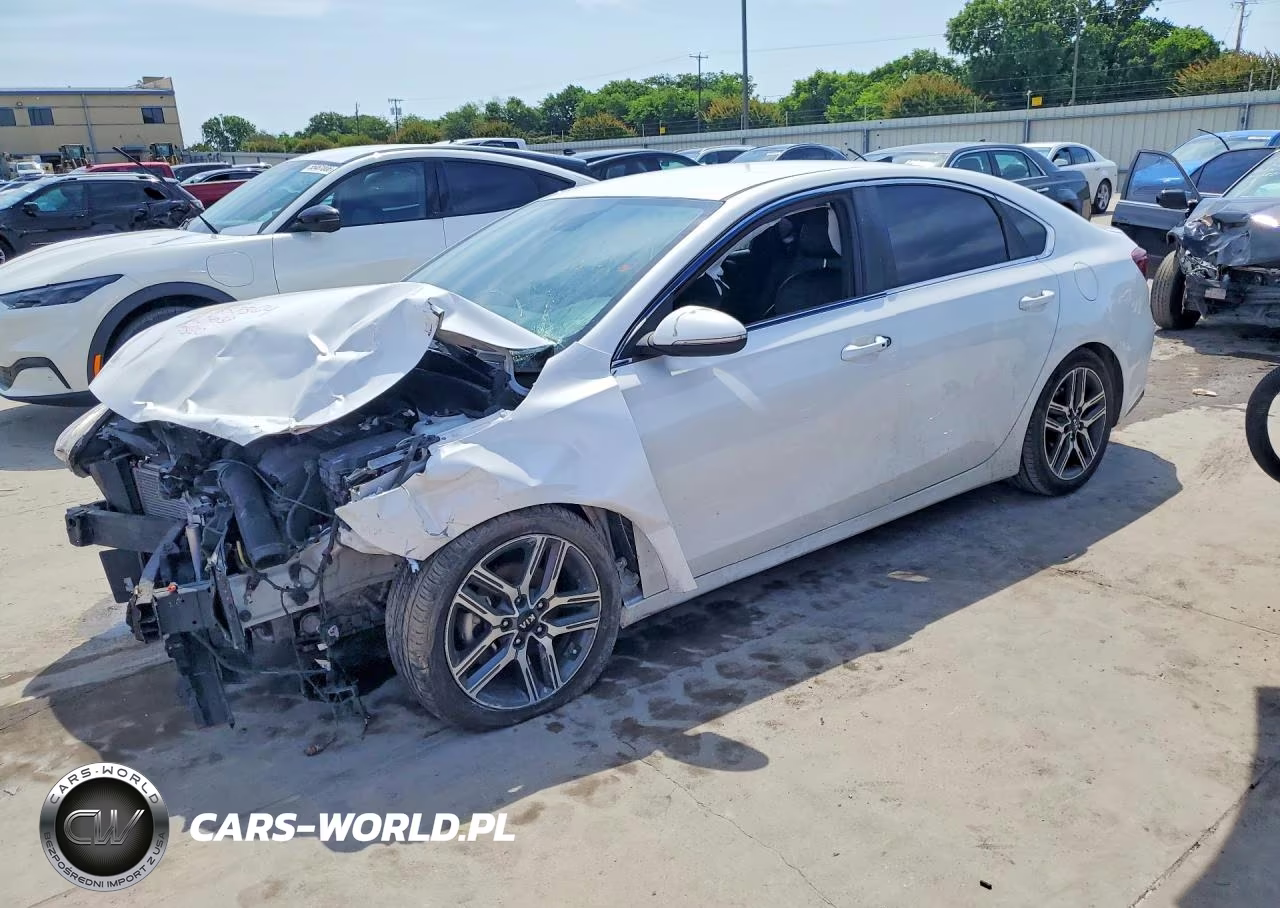 2019 Kia Forte Ex