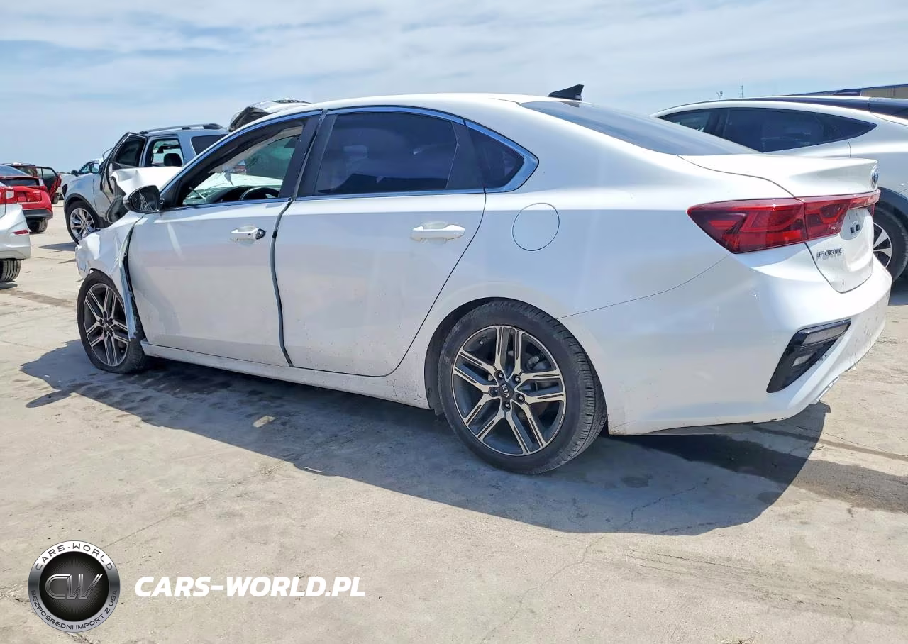 2019 Kia Forte Ex VIN:3KPF54AD2KE127038 - 2