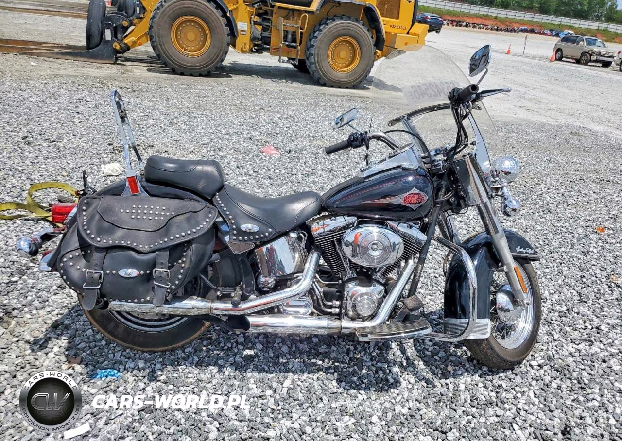 2001 Harley-Davidson Flstci
