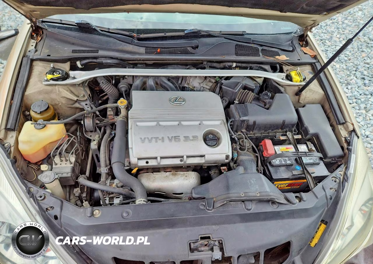 2004 Lexus Es 330 VIN:JTHBA30G640021802 - 11