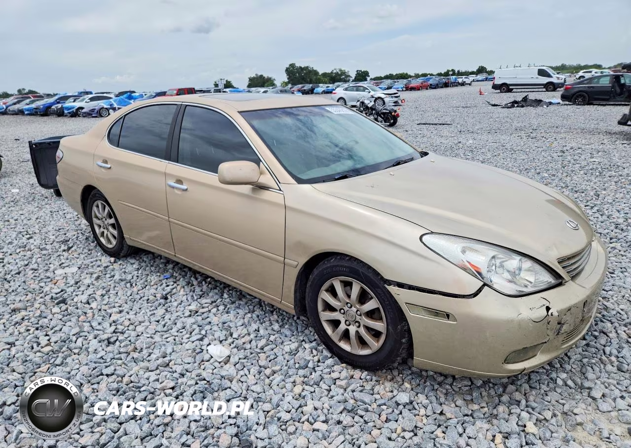 2004 Lexus Es 330 VIN:JTHBA30G640021802 - 4